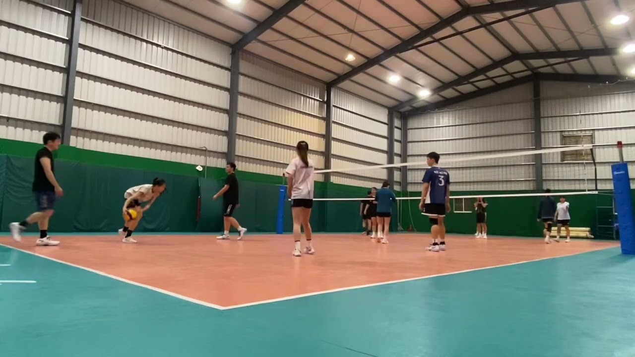 战胜了沙尔