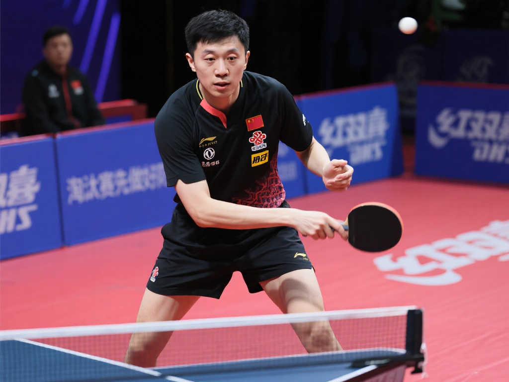 未来或许将 未来或许将