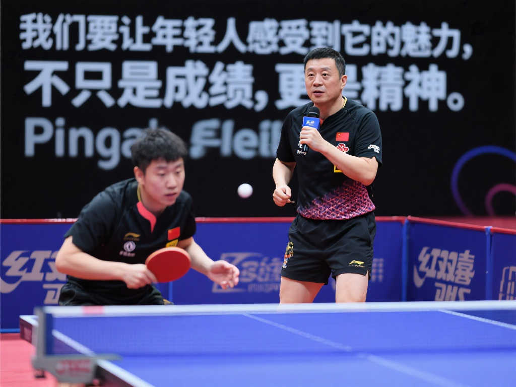 礼的选手 礼的选手